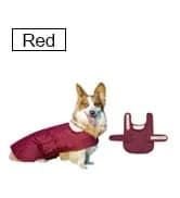 Dog Winter Jacket — Warm Windproof Dog Sweaters for Small Dogs — collection imagery