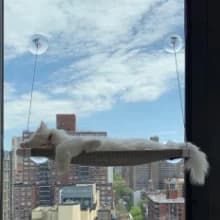 Cat Window Hammock – Mess-Free Waterproof Cats Window Perch for Large Cats — 360° sunbathing