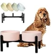 Elevated Slow Feeder Dog Bowl — collection imagery