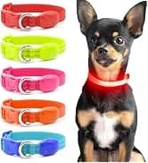 Waterproof Dog Raincoats - Hooded Raincoats for Dogs — collection imagery