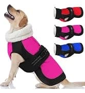 Dog Winter Coat with Harness — collection imagery