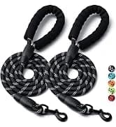Reflective Dog Collar — Puppy Collar with Buckle Adjustable — collection imagery