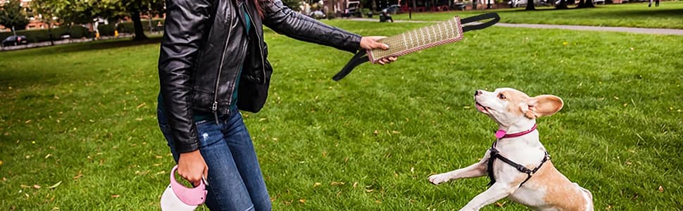 Dog Tug Toy Dog Training Bite Pillow Jute Bite Toy - Best for Tug of War — Puppy Training Interactive Play — collection imagery