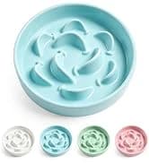 Elevated Slow Feeder Dog Bowl — collection imagery