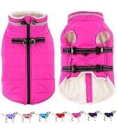 Dog Winter Coat with Harness — collection imagery