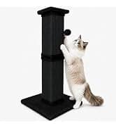 Cat Scratching Post for Indoor Cats — 32Inch Sisal Cat Scratcher — collection imagery