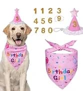 Dog Birthday Party Supplies — Dog Birthday Bandana — collection imagery