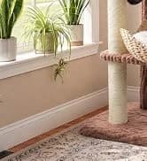 Cat Tunnel S Shape Cat Tunnels for Large and Indoor Cats 51”Long — collection imagery
