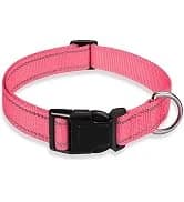 Reflective Dog Collar — Puppy Collar with Buckle Adjustable — collection imagery