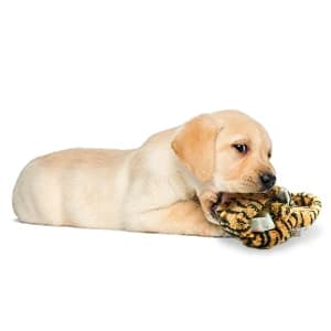 Unstuffed Woodland Squeaky Dog Toys — 5 Pack — collection imagery