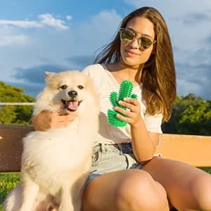 Cactus Dog Chew Toy for Aggressive Chewers — collection imagery