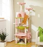 Cat Tunnel S Shape Cat Tunnels for Large and Indoor Cats 51”Long — collection imagery