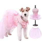 Reversible Dog Winter Coat — Dog Jacket for Small — collection imagery
