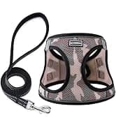 2 Pack Dog Leash — Heavy Duty Nylon Rope Pet Leashes — collection imagery