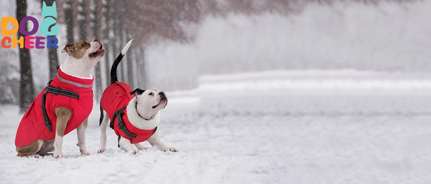 Dog Winter Coat with Harness — collection imagery