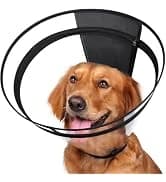 Dog Cone to Stop Licking — Clear Recovery Collar with Detachable Zipper — collection imagery