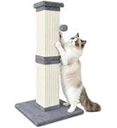 Cat Scratching Post for Indoor Cats — 32Inch Sisal Cat Scratcher — collection imagery