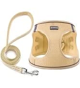 2 Pack Dog Leash — Heavy Duty Nylon Rope Pet Leashes — collection imagery