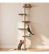 Cat Scratching Post for Indoor Cats — 32Inch Sisal Cat Scratcher — collection imagery