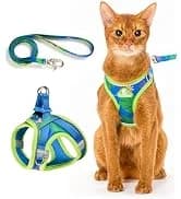 Adjustable Cat Harness and Leash Set — Escape Proof — collection imagery