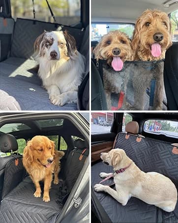 Hard Bottom Dog Car Seat Cover for Back Seat — collection imagery