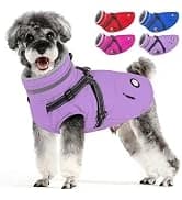 Dog Winter Coat with Harness — collection imagery