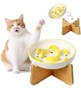 Elevated Slow Feeder Dog Bowl — collection imagery