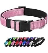Reflective Dog Collar — Adjustable Nylon for Medium Dogs — collection imagery
