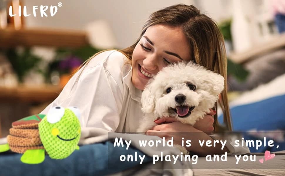Dog Puzzle Enrichment Toy — Squeaky Crinkle Plush Turtle Puppy Toy — product details