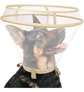 Dog Cone to Stop Licking — Clear Recovery Collar with Detachable Zipper — collection imagery