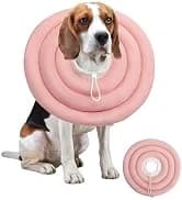 Soft Dog Cones — Recovery Dog Donut Collar After Surgery- Cone of Shame Alternative — collection imagery