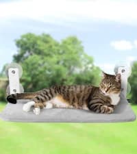 Foldable Cat Window Perch — Large Suction Cup Kitty Hammock — collection imagery