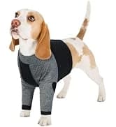 Dog Coat Warm Dog Winter Coat Waterproof Dogs Jacket with Harness — collection imagery