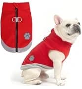 Cable Knit Turtleneck Dog Sweater with Leash Opening — collection imagery