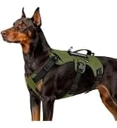 Tactical Dog Harness for Large Dogs — collection imagery