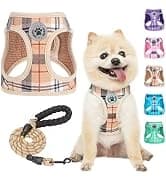 Dog Leash for Large Dogs — 5FT Heavy Duty Rope Leash Bulk — collection imagery