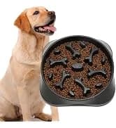 Slow Feeder Dog Bowls for Large Medium Dog Non Slip Maze Puzzle Bowl Pet Slower Food Feeding Dishes Interactive — collection imagery