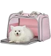 Cat Carrier Soft with Safety Buckles — collection imagery