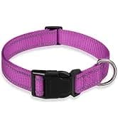 2 Pack Dog Leash — Heavy Duty Nylon Rope Pet Leashes — collection imagery