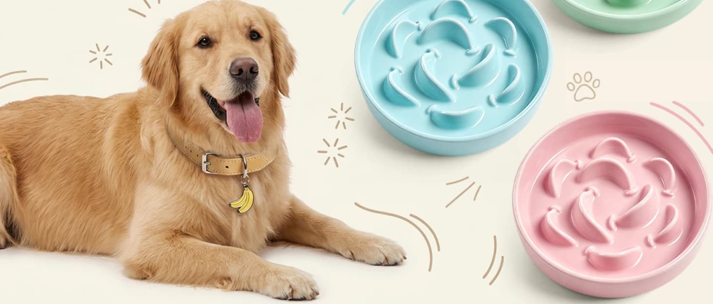 Elevated Slow Feeder Dog Bowl — collection imagery