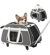 Cat Carrier Soft with Safety Buckles — collection imagery
