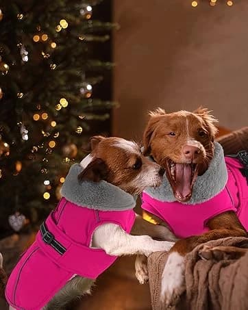 Dog Winter Coat with Harness — collection imagery