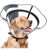 Dog Cone to Stop Licking — Clear Recovery Collar with Detachable Zipper — collection imagery