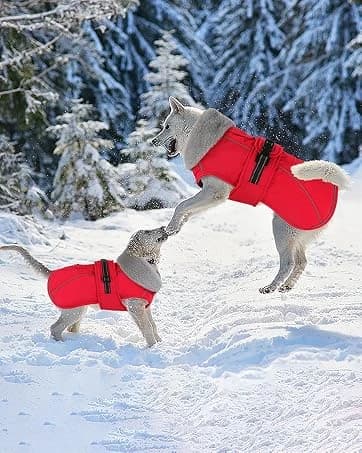 Dog Winter Coat with Harness — collection imagery