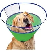 Dog Cone to Stop Licking — Clear Recovery Collar with Detachable Zipper — collection imagery