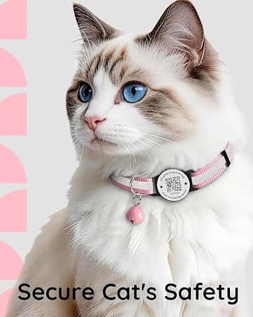 Waterproof Airtag Dog Collar Holder for Apple Air Tag — collection imagery