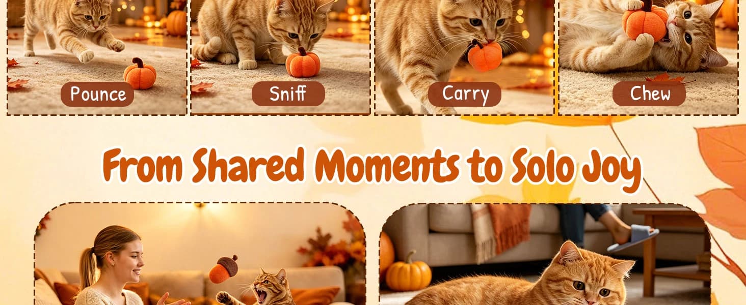 Plush Fall Catnip Toys for Indoor Cats 6 Pack — Pumpkin Shape — product details