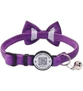 Leather Cat Collar with Bell Breakaway- Adjustable — collection imagery