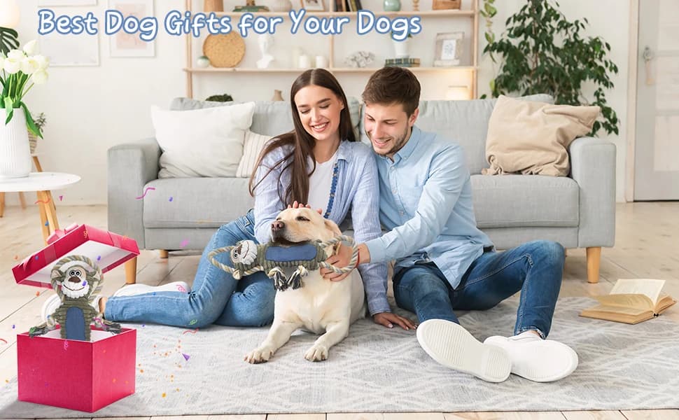Funny Plush Dog Chew Toys — Squeaky Dog Toys — product details