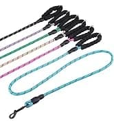 Dog Leash for Large Dogs — 5FT Heavy Duty Rope Leash Bulk — collection imagery
